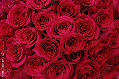 Large bouquet of red roses  close-up