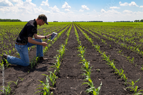 Agronomist Using a Tablet in an Agricultural Field