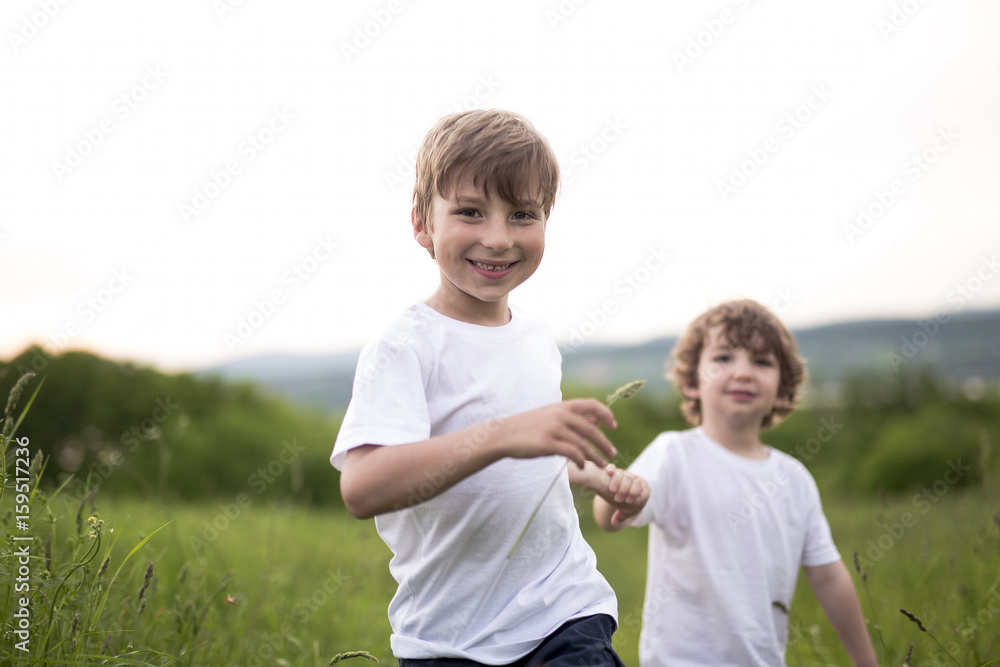 Fototapeta premium Brother play together in a green meadow