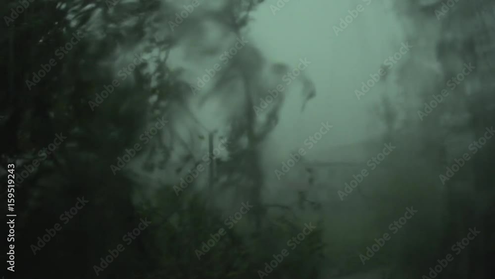 A strong hurricane outside the window, the lights go out in the apartment, the wind breaks the tree, strong wind and rain. A strong hurricane outside the window, the lights go out in the apartment, the wind breaks the tree, strong wind and rain.