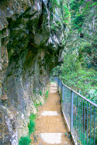 The Karangahake Gorge lies between the Coromandel and Kaimai ranges  at the southern end of the Coromandel  river flowing through Karangahake gorge surrounded by native rainforest  Peninsula in New