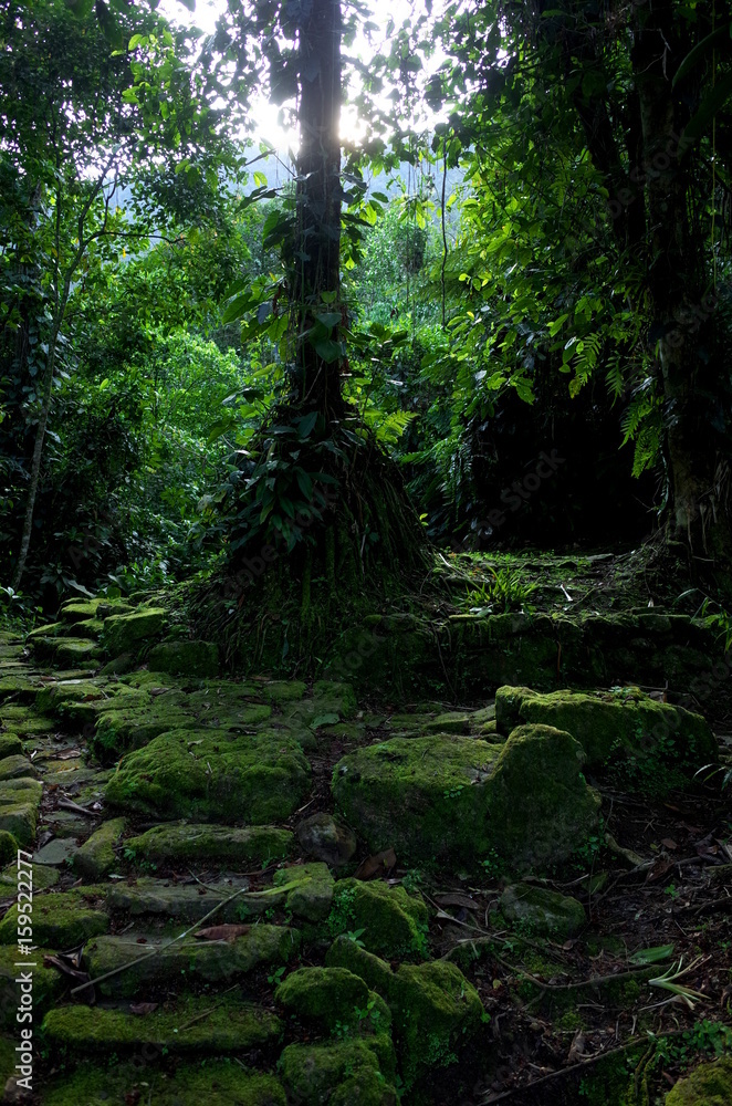 Stone paths leading to Ciudad Perdida (Lost City) in Colombia Stone paths leading to Ciudad Perdida (Lost City) in Colombia