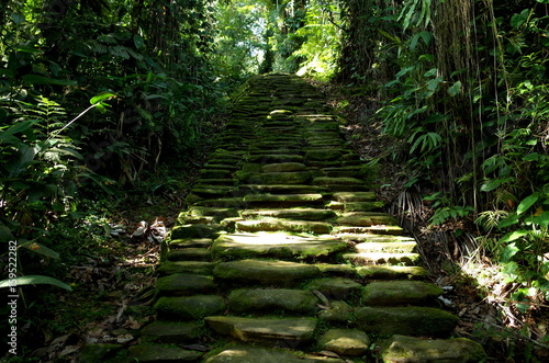 Stone paths leading to Ciudad Perdida (Lost City) in Colombia photo