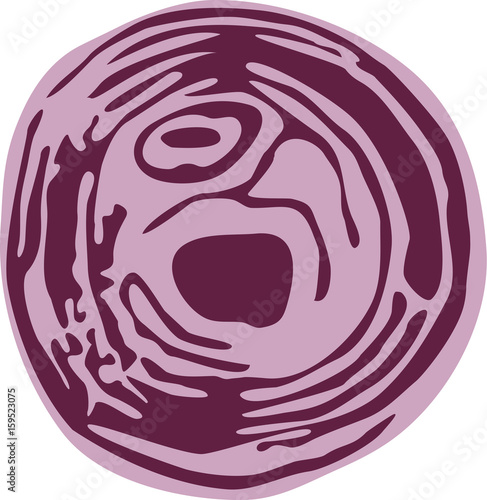 Violet sliced onion vector