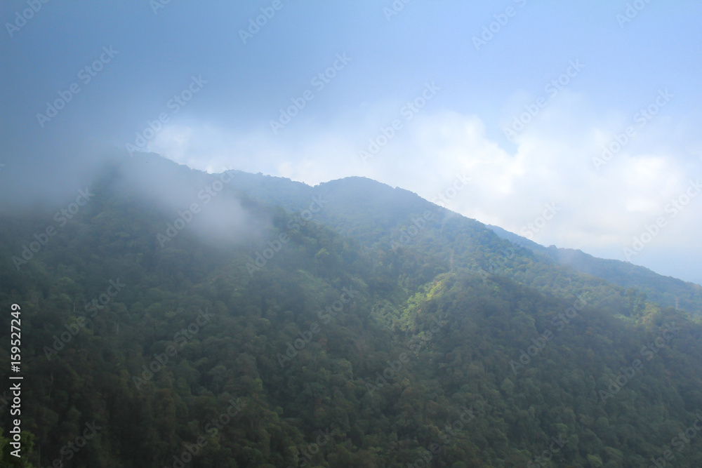 View in hill to genting highland, Malaysia View in hill to genting highland, Malaysia