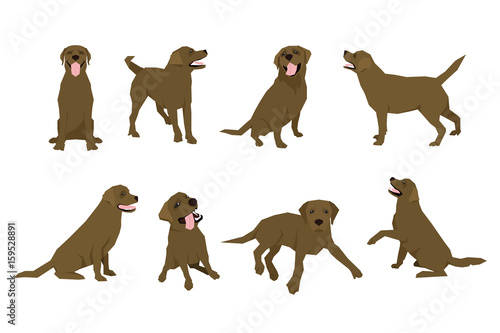 Animal dog Labrador character icon set in flat style. Design template.