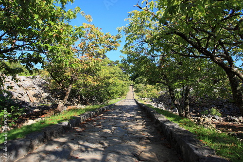 今帰仁城 沖縄本島