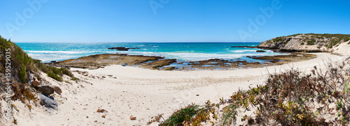 Wide panorama of a beautiful atlantic ocean bay, with white sand beach and clear blue skies, and a couple of shrubs in the foreground and a rocky shoreline.
