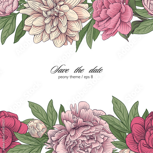 colorful peony vector border