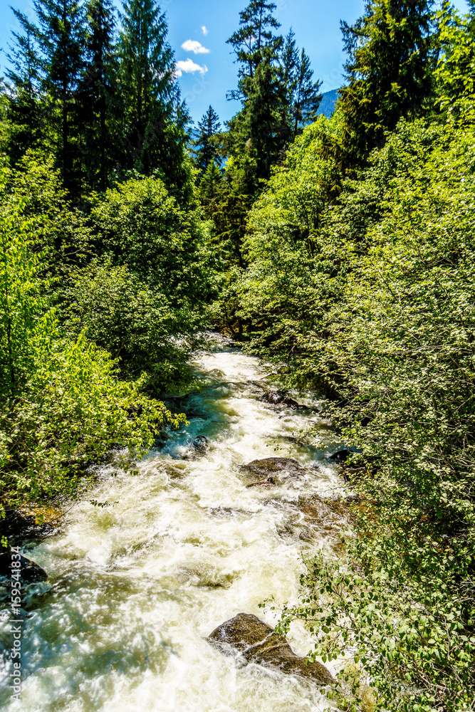 Naklejka premium The fast flowing waters of Joffre Creek just before it flows into Lillooet Lake along the Duffey Lake Road, Highway 99, between Pemberton and Lillooet in southern British Columbia