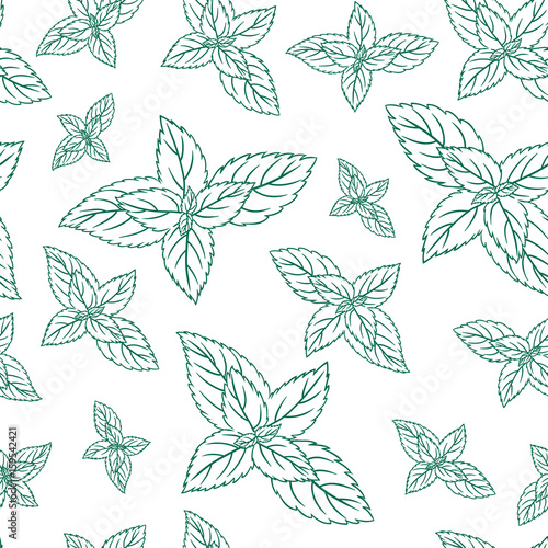 Mint leaves, peppermint isolated on white background, Hand drawn vector seamless patterns, spicy herbs, kitchen texture, Doodle cooking ingredient for design package tea, wallpaper, cosmetic, textile