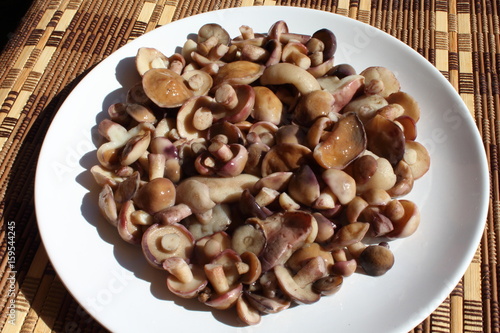 Pickled (salted) mushrooms Suillus on a white plate.