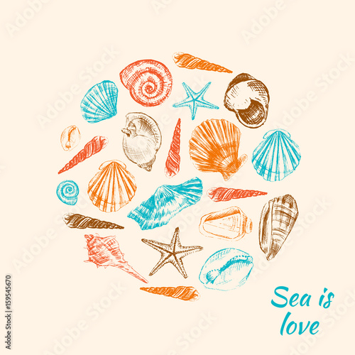 Seashell hand drawn vector etching sketch isolated on light background, decorative round frame, underwater marine texture, template label layout design for card, beauty salon, natural cosmetics shop