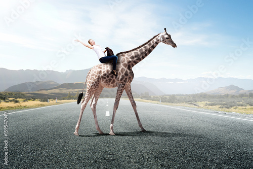 Photography Girl saddle giraffe