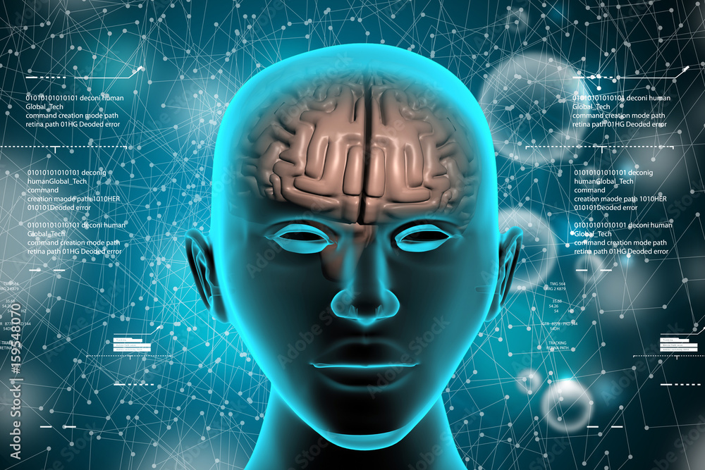 representation of human brain representation of human brain