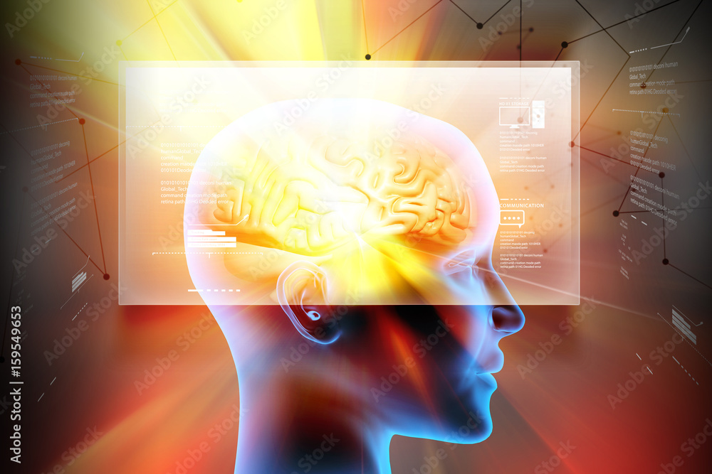 Obraz premium representation of female brain