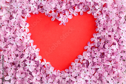 Heart shape created from pink lilac flowers on the red background. Red heart.