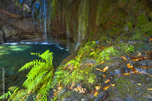 Fototapeta Naklejka Na Ścianę i Meble -  Madeira green levada with waterfall