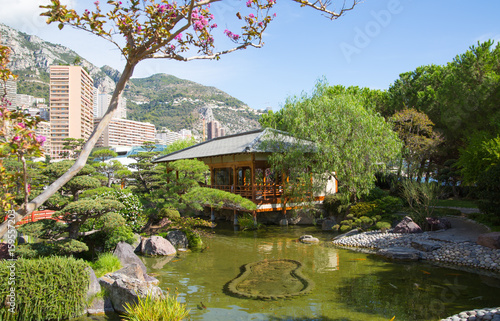 Monaco, Monte Carlo. Jardin Japonais, Japanese Garden view with residential buildings at the background.