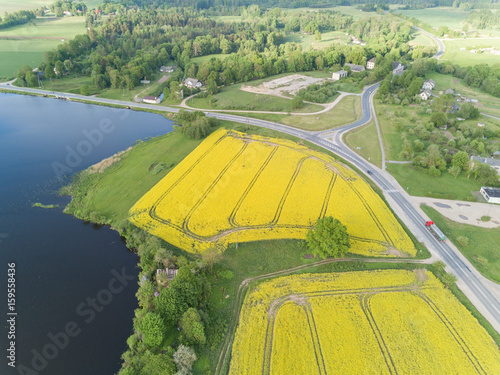 Rapeseed field yellow green Aerial view of countryside, drone top view Latvia photo