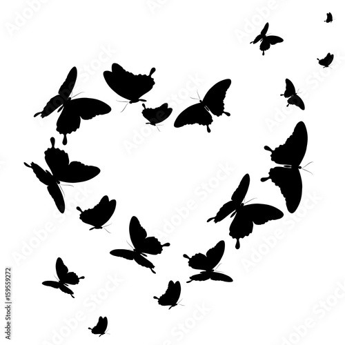 black butterfly,heart, isolated on a white