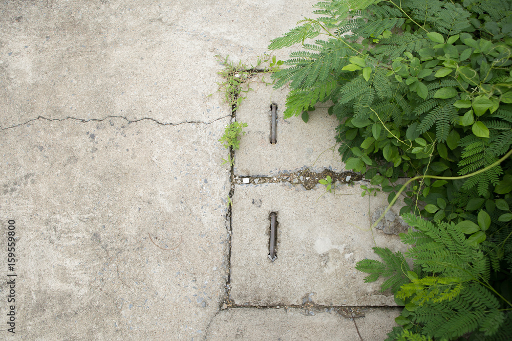 cement floortexture cement floortexture