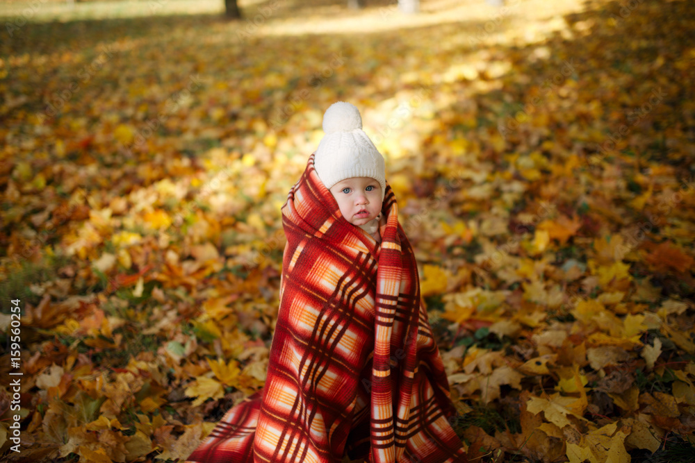 girl with blanket in autumn park girl with blanket in autumn park