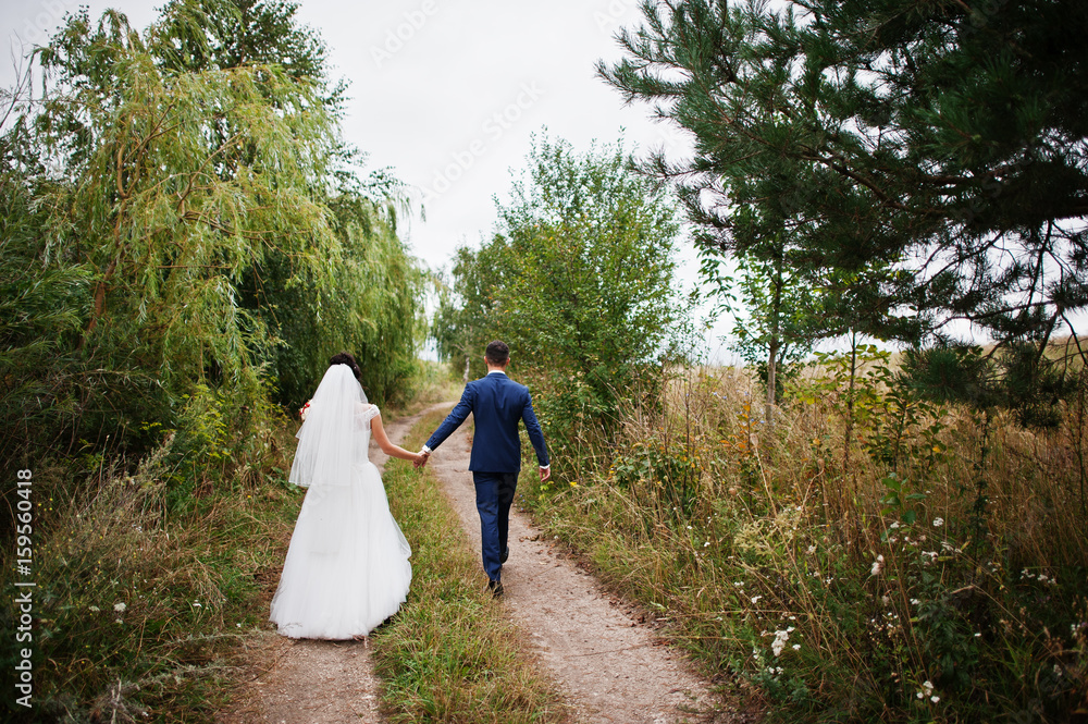 Fototapeta premium Bride and groom take walk in the countryside with stunning nature on their wedding day.