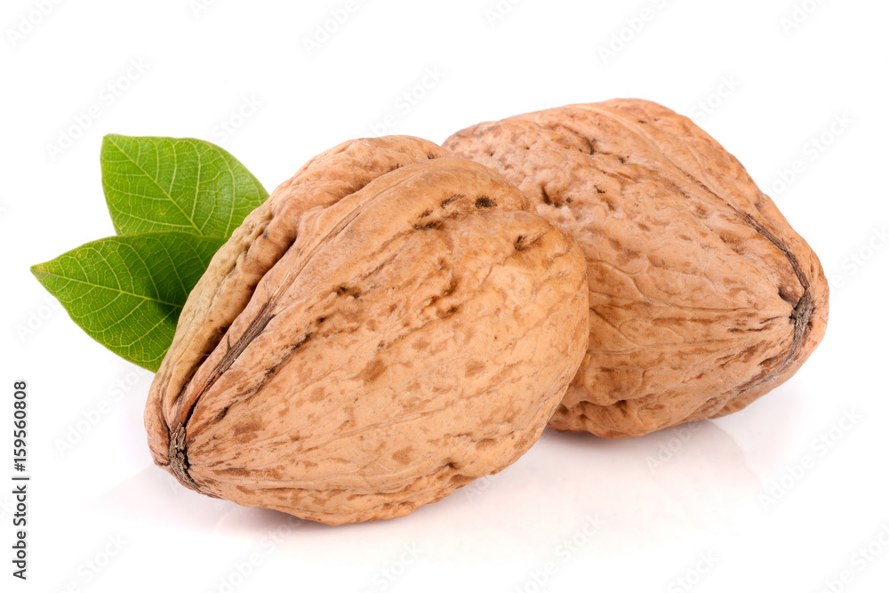 Walnuts with leaf isolated on white background Walnuts with leaf isolated on white background