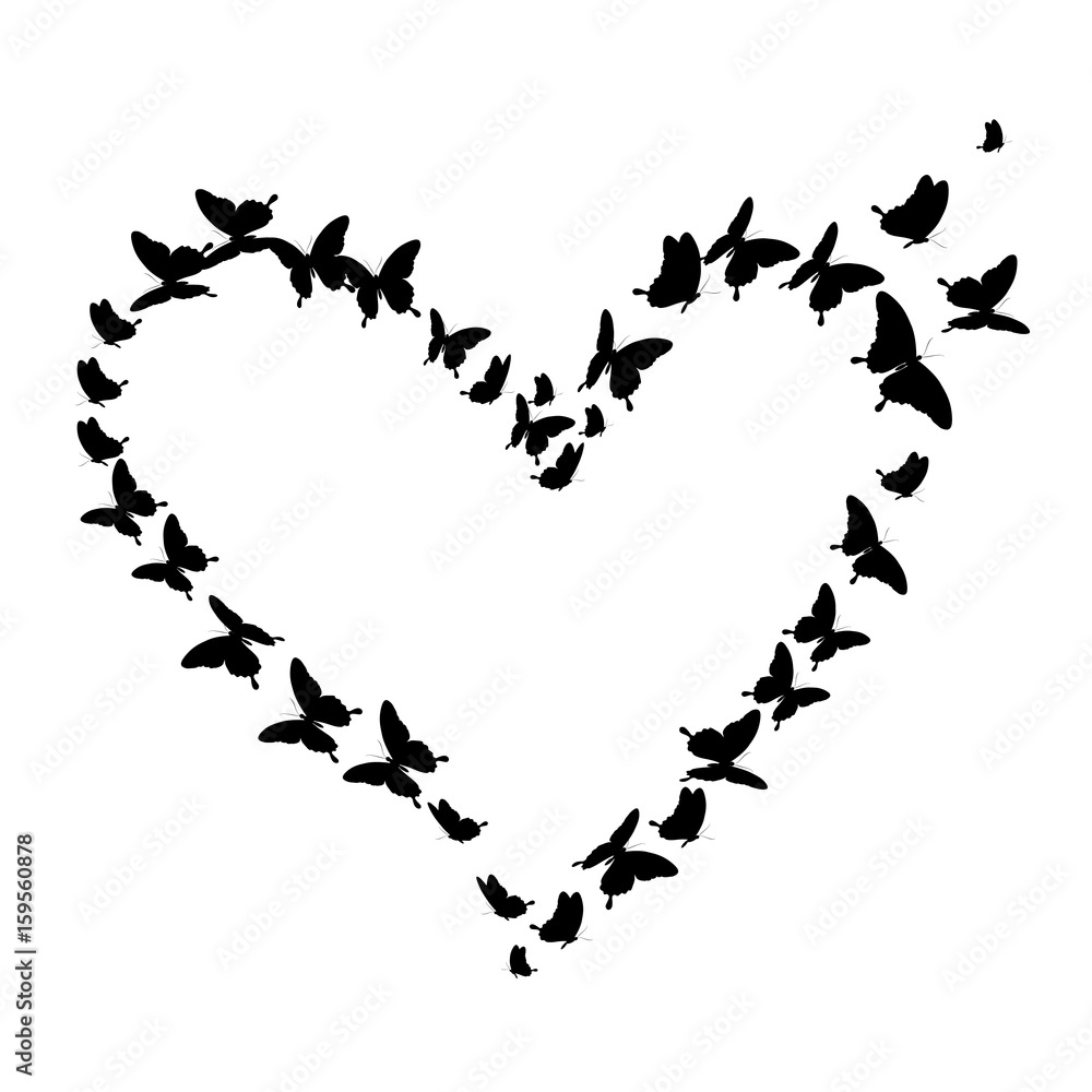 black butterfly,heart, isolated on a white Stock Illustration Adobe Stock