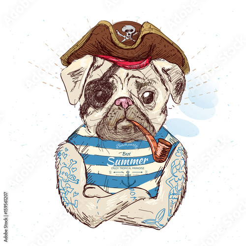 Illustration of pirate pug dog .on blue background in vector eps10