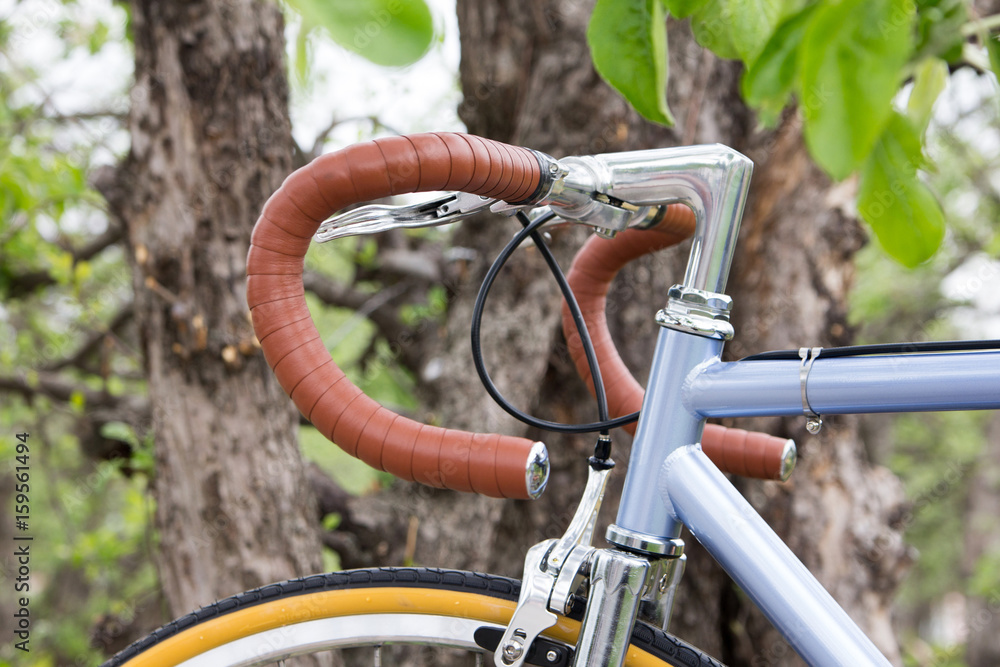 Obraz premium bicycle near the tree. Steering wheel bike close-up. Outdoors.