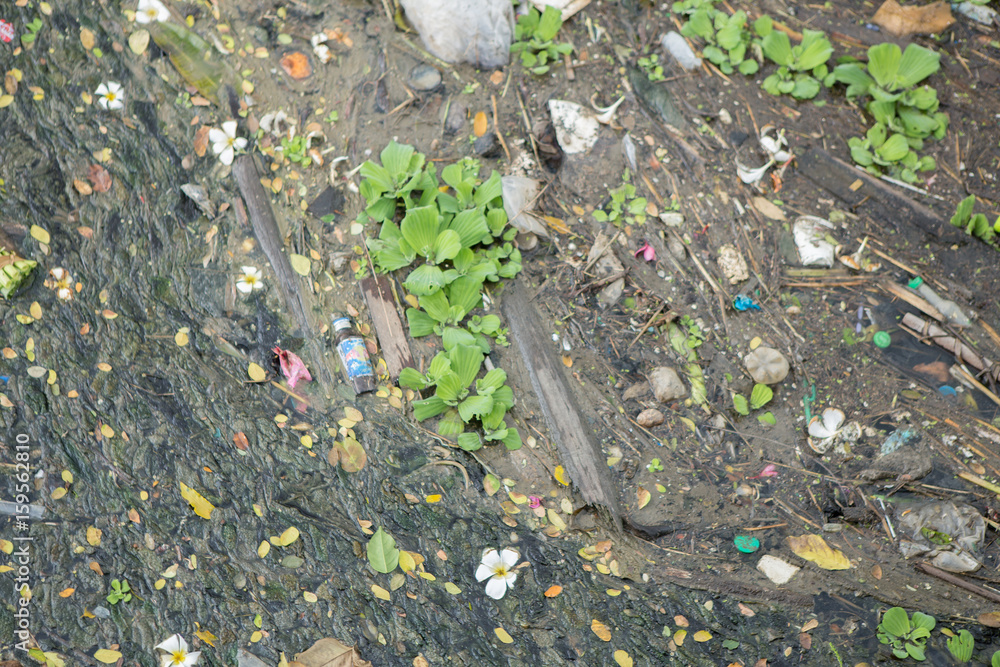 Obraz premium Wastewater in the canal