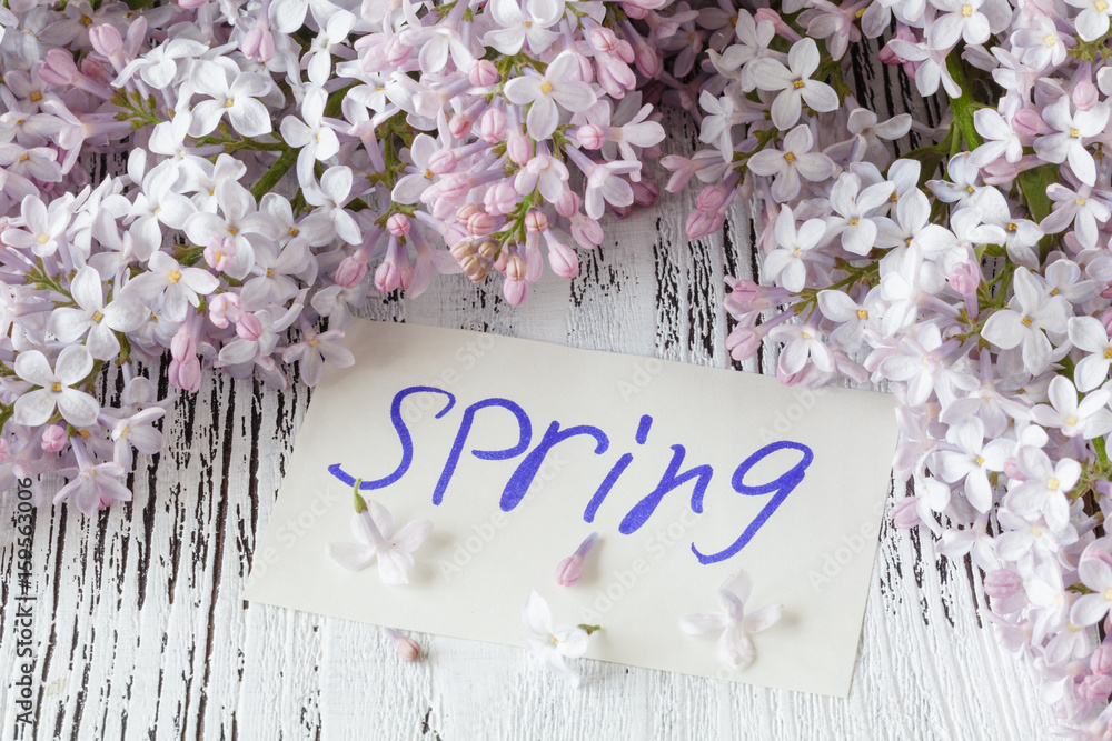The beautiful fresh lilac violet flowers on a wooden background. Close up of lilac blossoms. Spring flower, twig lilac The beautiful fresh lilac violet flowers on a wooden background. Close up of lilac blossoms. Spring flower, twig lilac