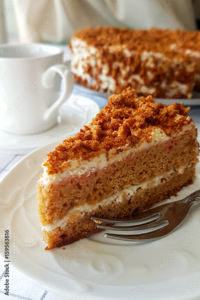 Slice of honey cake. Light background. Selective focus. Slice of honey cake. Light background. Selective focus.