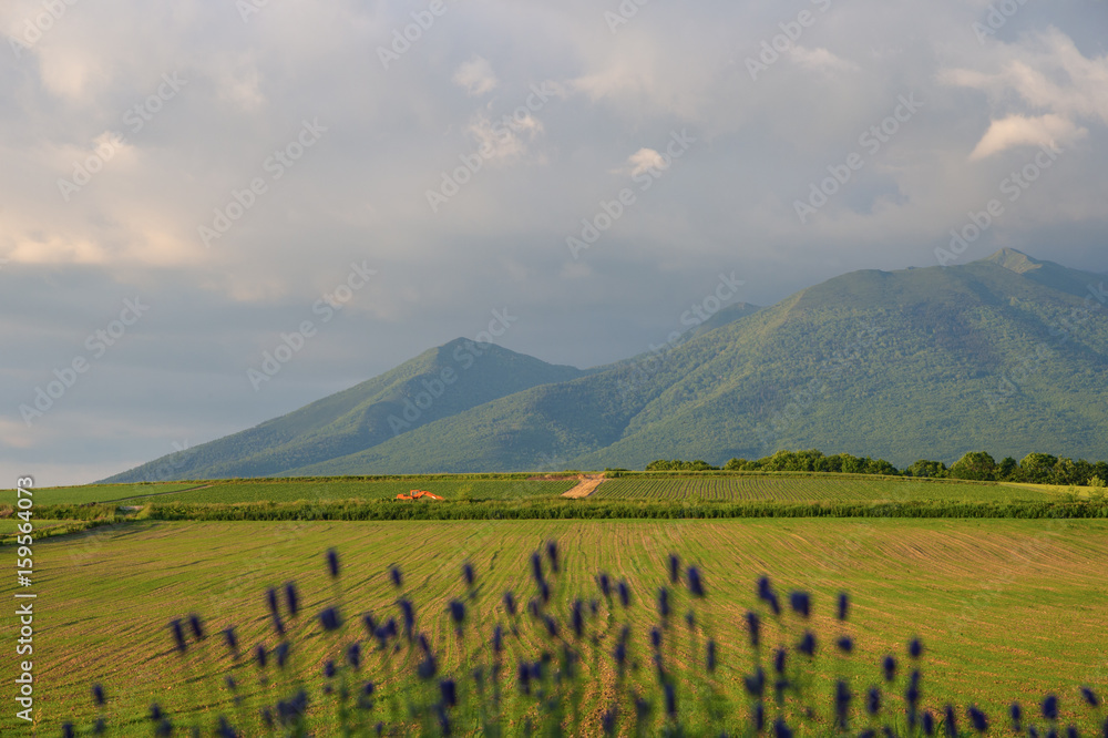 田園風景 田園風景