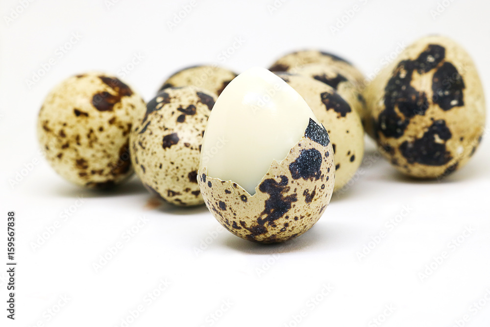 Quail eggs islated on white background. Quail eggs islated on white background.