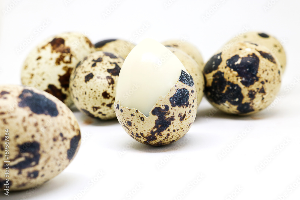 Quail eggs islated on white background. Quail eggs islated on white background.