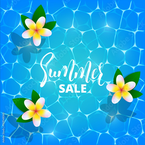 Summer sale. Illustration of frangipani or plumeria flowers floating on crystal shiny pool water. Summer sale banner, poster, ad with lettering and tropical flowers
