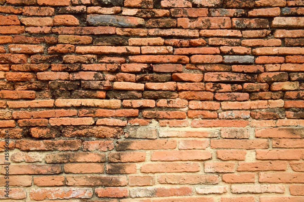 Fototapeta premium old brick wall texture for background