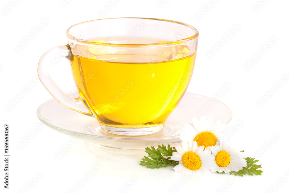 Herbal tea with fresh chamomile flowers isolated on white background Herbal tea with fresh chamomile flowers isolated on white background
