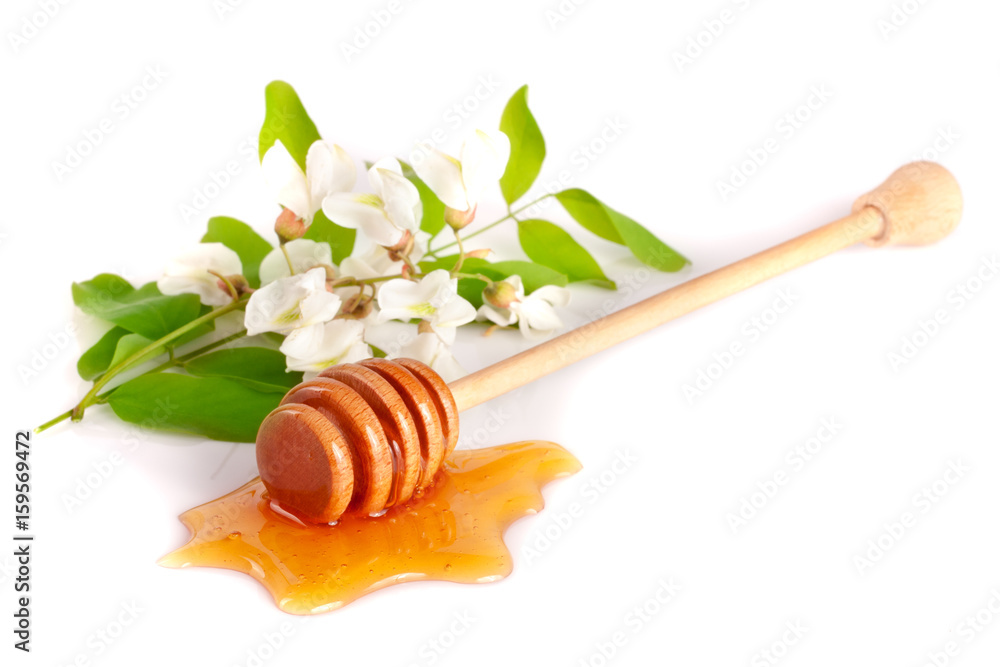 Honey stick with flowing honey and flowers of acacia isolated on white background Honey stick with flowing honey and flowers of acacia isolated on white background