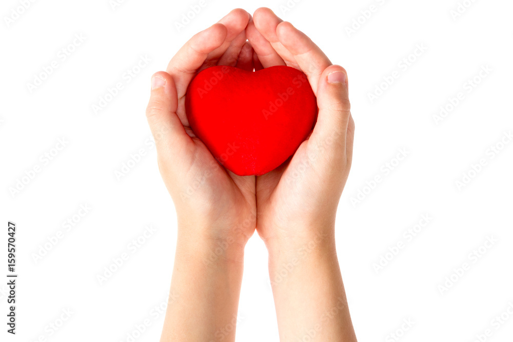 Little girl holding heart in her hands