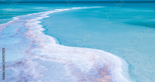 View of Dead Sea coastline. Salt crystals and dry plants . Texture of Dead sea. Salty sea shore