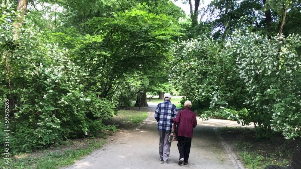 Senior couple enjoying walking in the summer Park Senior couple enjoying walking in the summer Park