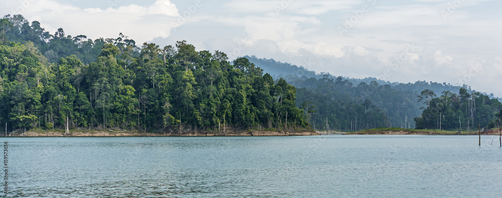 Panorama view of morning fog and dead trees in dense tropical rainforest, Perak, Malaysia Panorama view of morning fog and dead trees in dense tropical rainforest, Perak, Malaysia