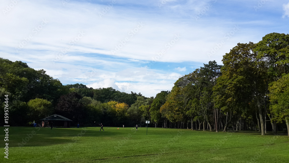 Green meadow in the middle of the park, leafy trees, High Park, Toronto, Canada