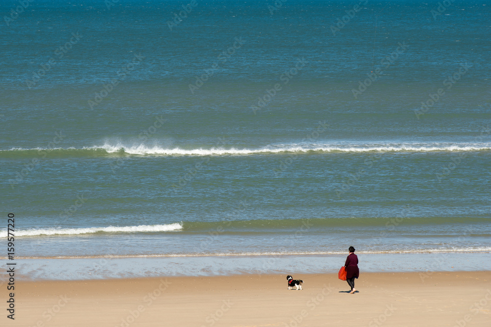 LACANAU - LE PORGE (France), océan Atlantique