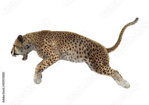 3D Rendering Cheetah on White