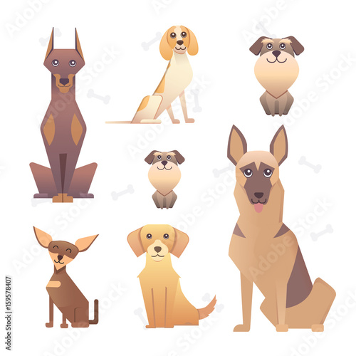 Group of purebred dogs. Illustration for dog training courses, breed club landing page and corporate site design